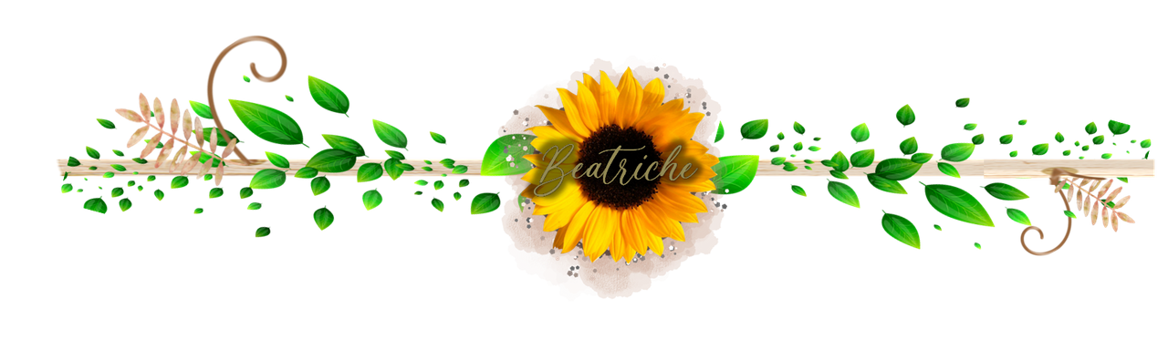 separadorgirasol.png