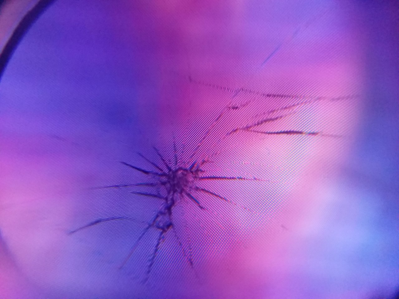 20171203_221421.jpg