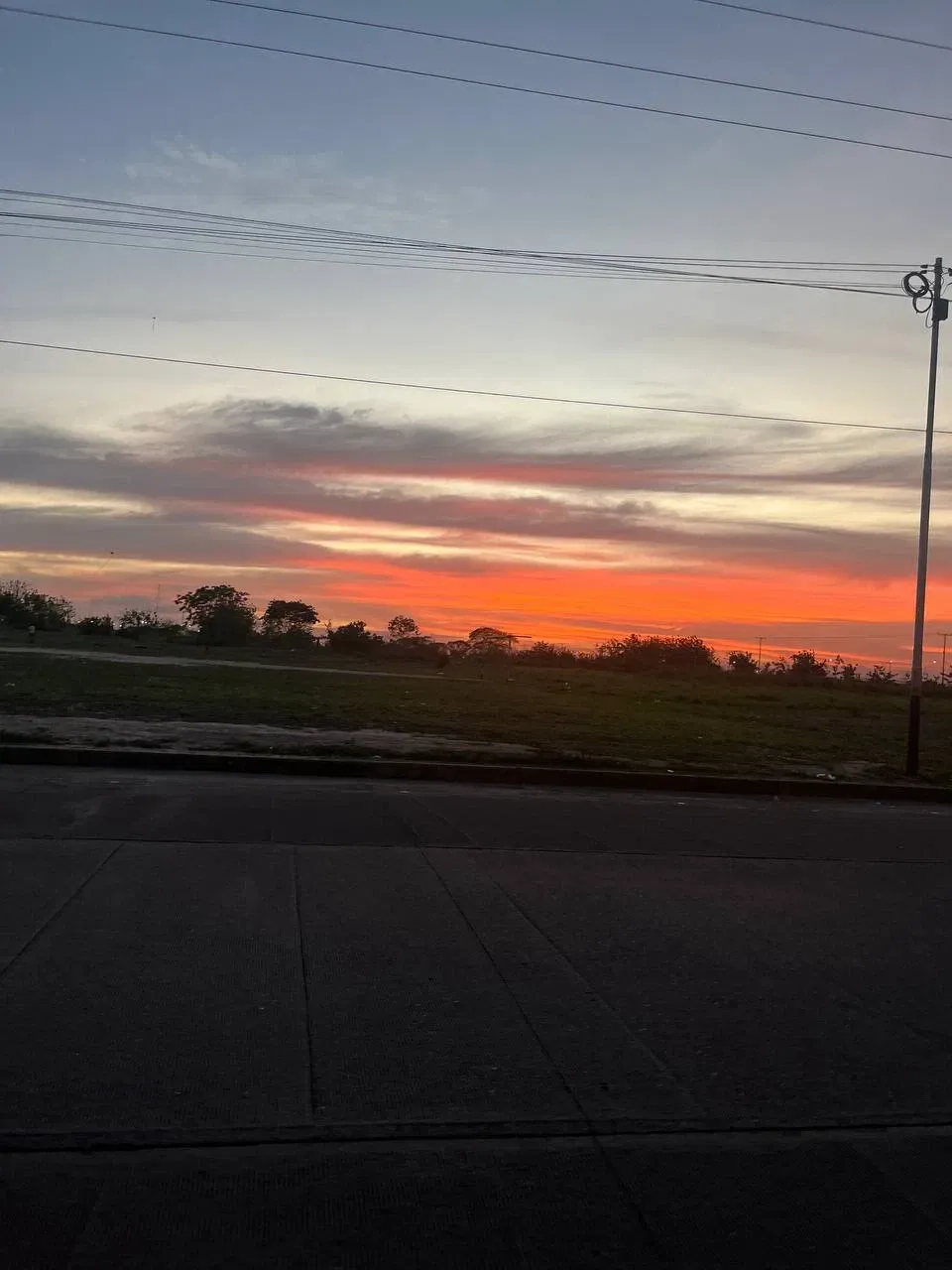 1xDMy2eBCtb2cdkX_1000638161.webp