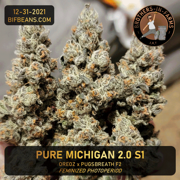 PROMO_DEC2021_Pure_Michigan.gif