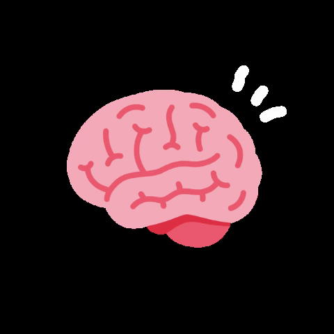 x7L2VSNEiyAB5Ux7nxKmLo6yLyEJT6Jt5yhNCUpGMtQjyTzRrme2RHVapu7hNuAhUPmZh2gKZQyaxMT.gif