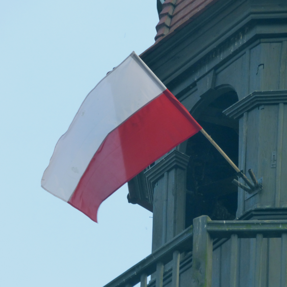 Projekt bez tytułu (1).png