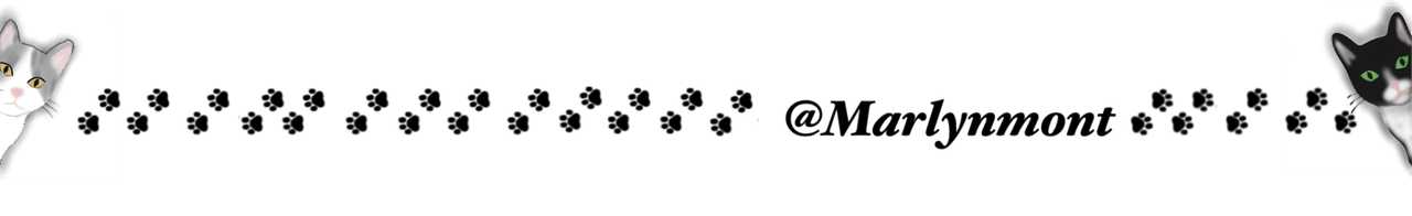 14 sin título_20241126180154.PNG