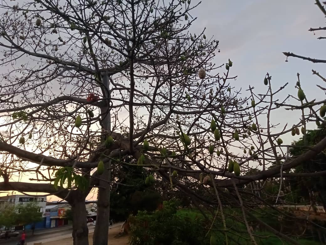 naturalezaasombrosa (8).jpeg