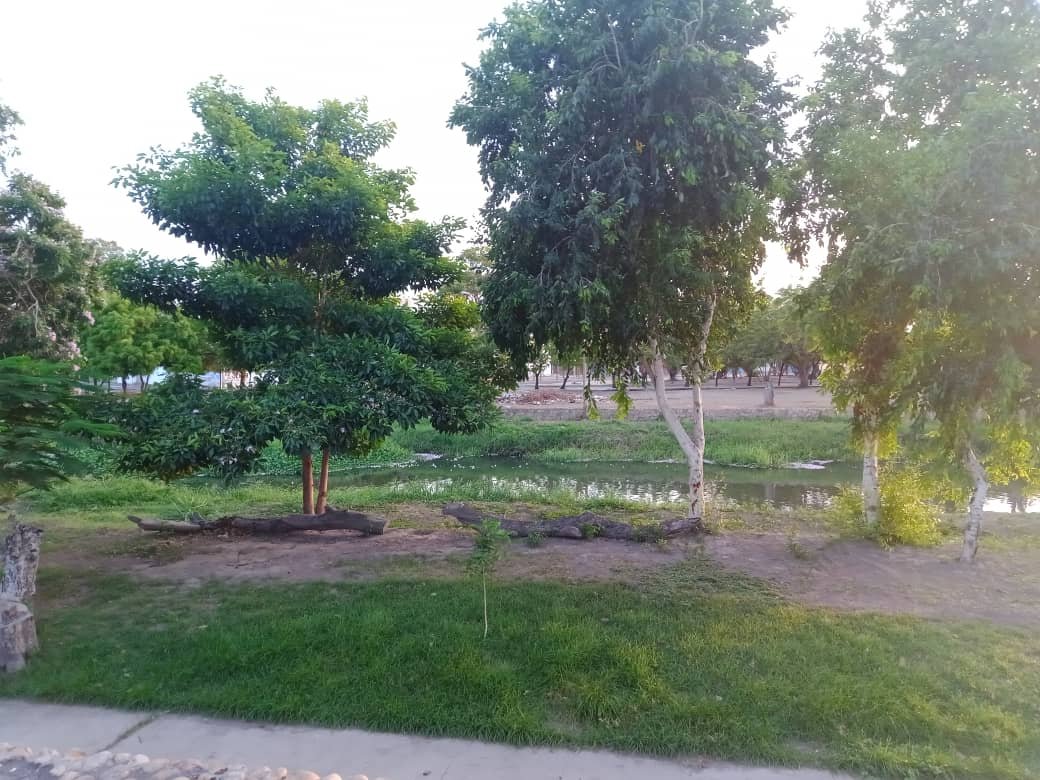 amazinggg nature.jpeg