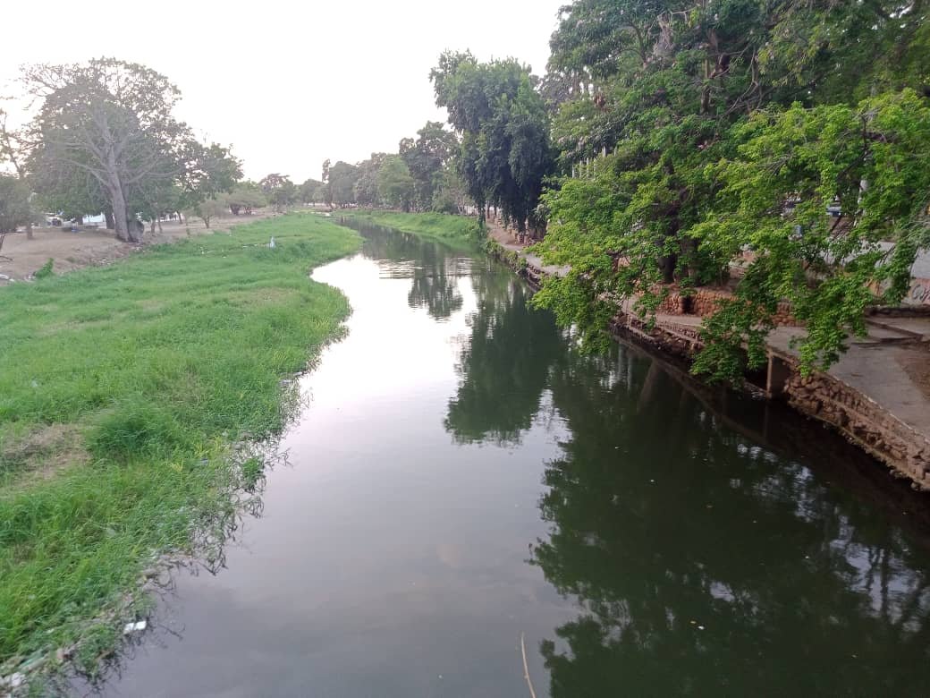 naturalezaasombrosa (4).jpeg