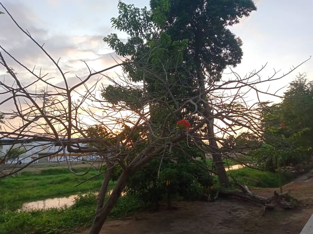 naturalezaasombrosa (6).jpeg