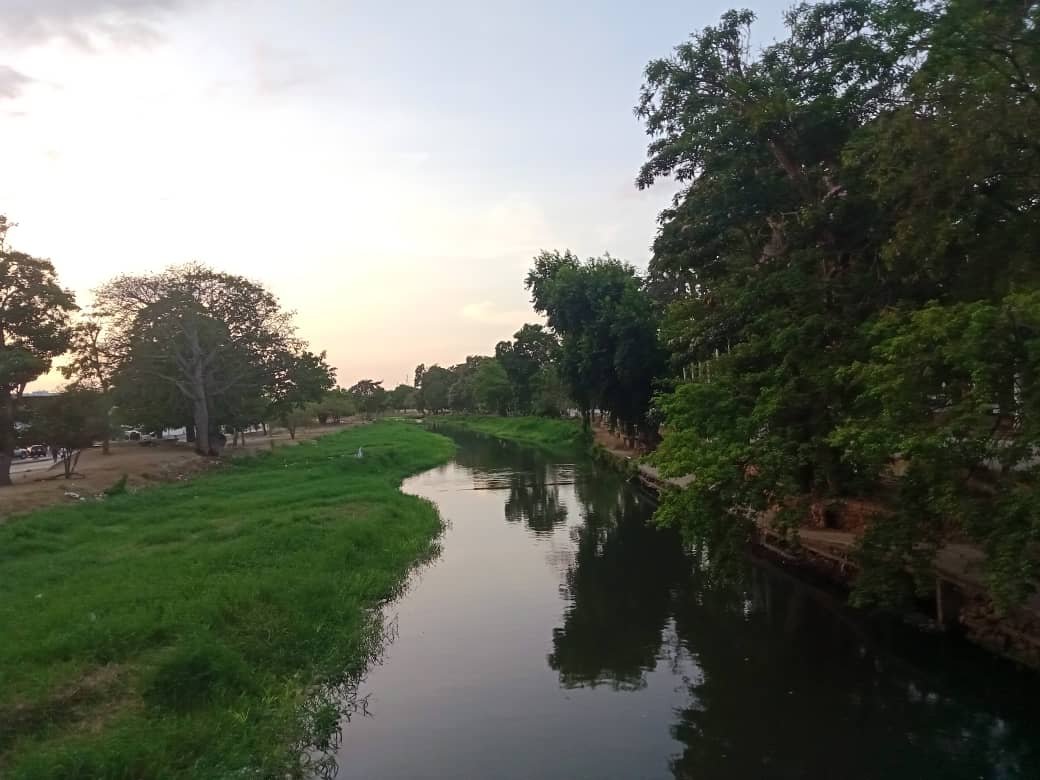 naturalezaasombrosa (3).jpeg