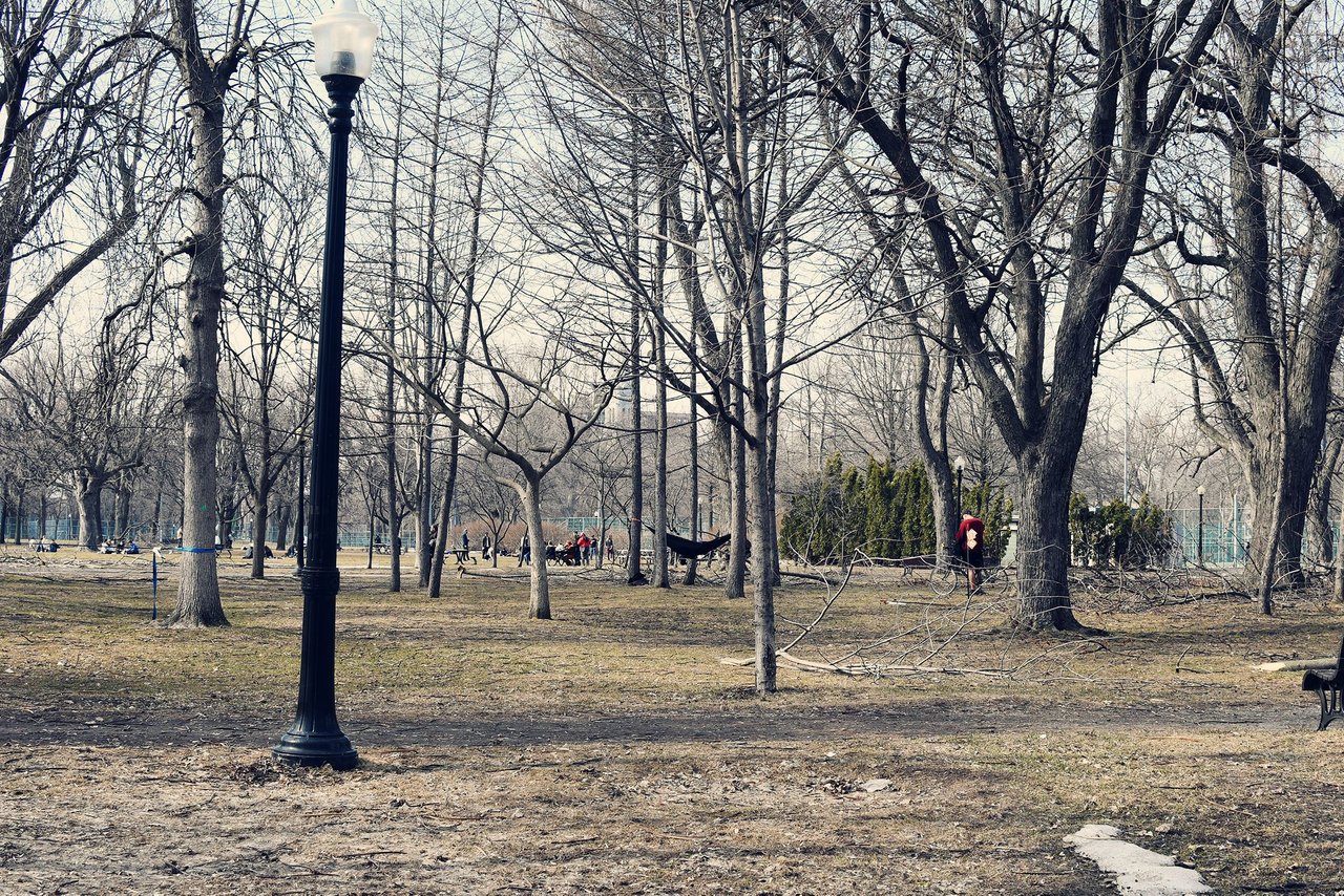 DSC_2959.jpg