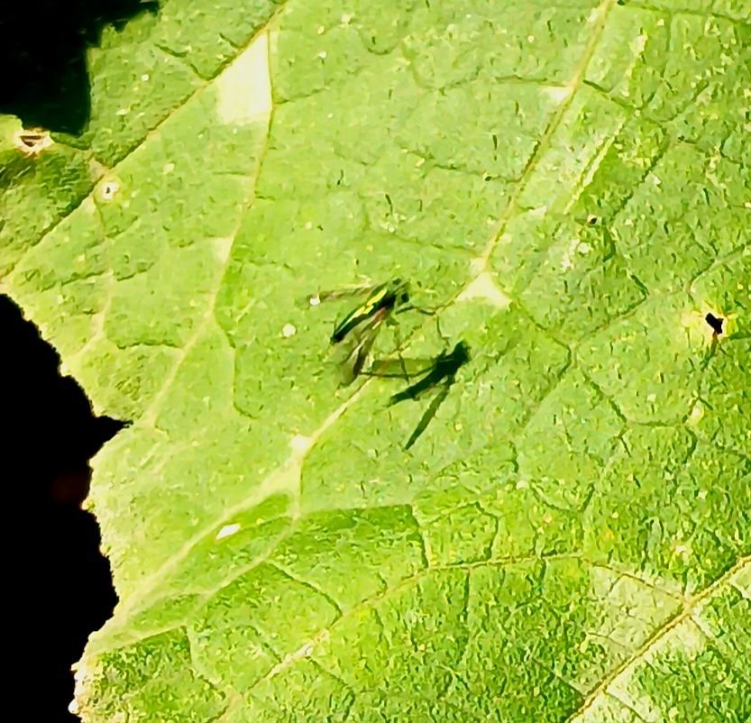 20250630_170415.jpg