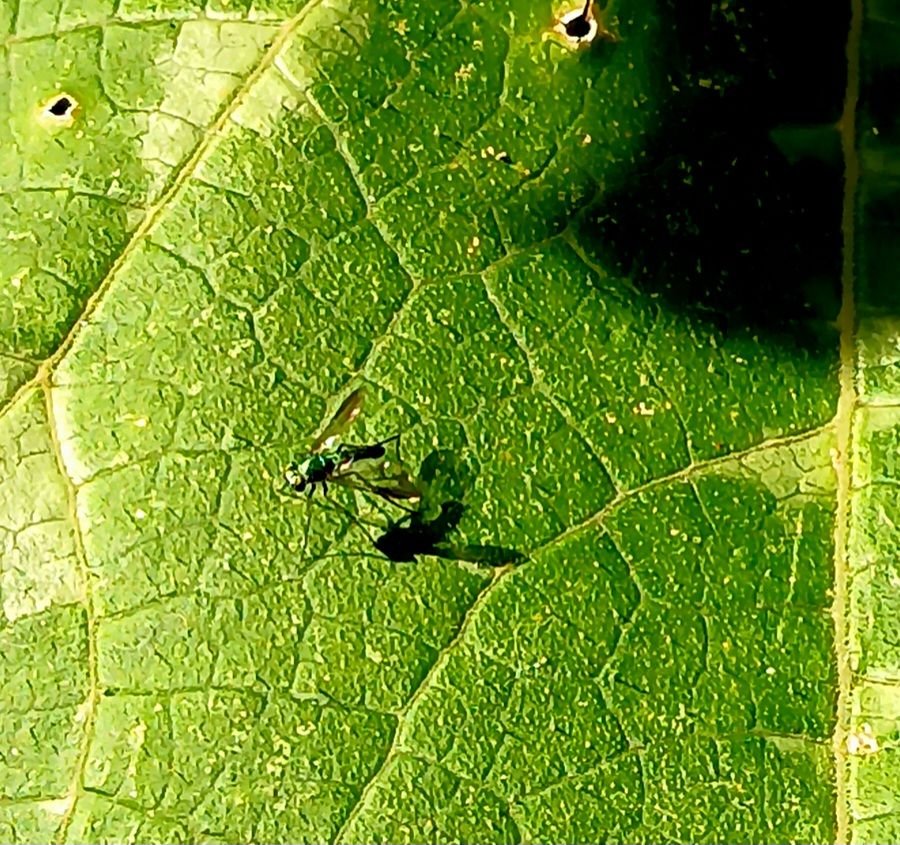 20250630_170459(1).jpg