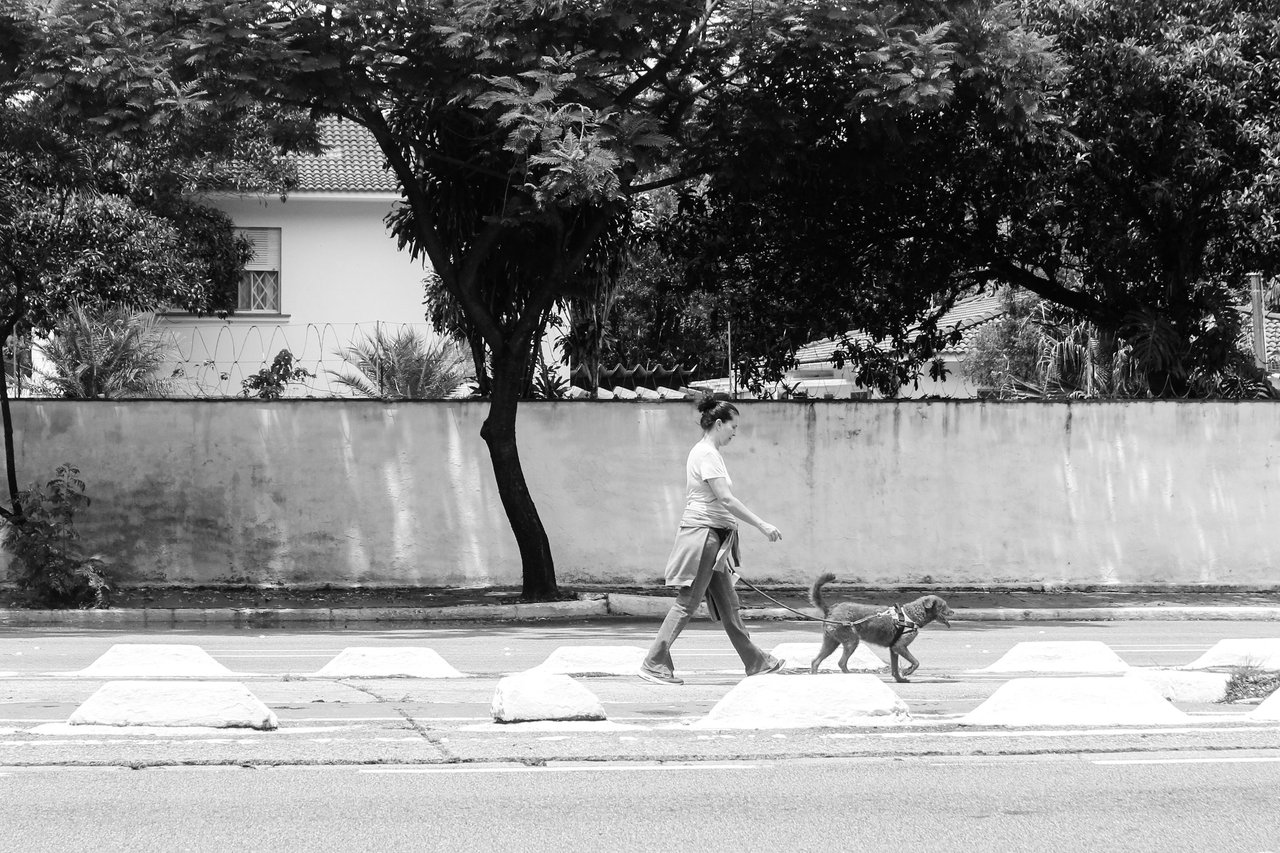 _MG_2901.jpg