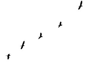 3W72119s5BjW4PvRk9nXBzqrPWMsMTjNrXDPFFf13VBrdSWJ17osqhfa6WcdNjXdpqVzYT19nxeqGBjJCe58j34SETHiMvtEVHTV1uvaJG8YN4YLAeUWT8.jpg