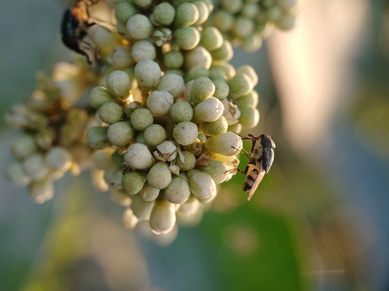 IMG20211130163350_BURST002.jpg