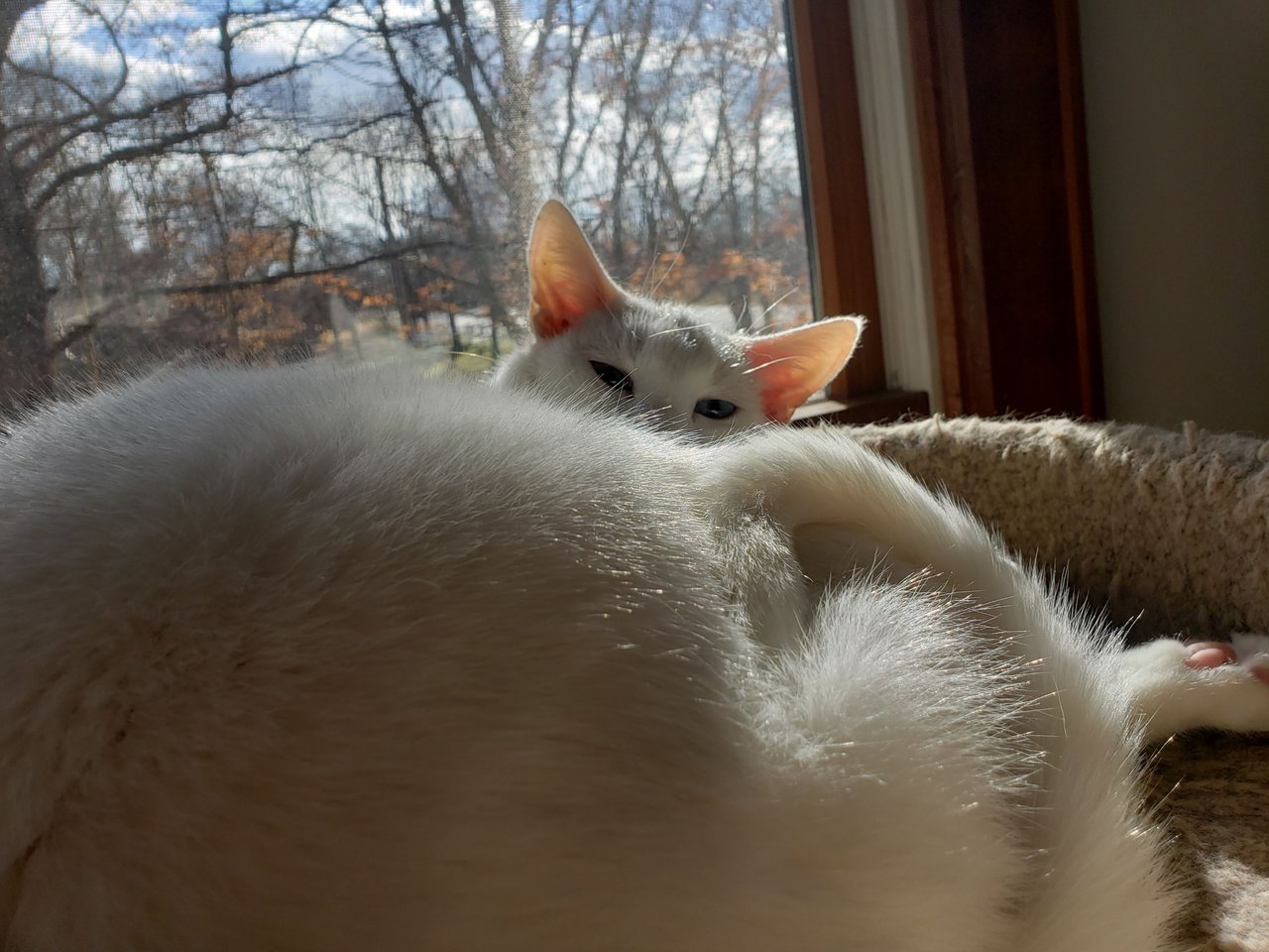 20231204_125053.jpg