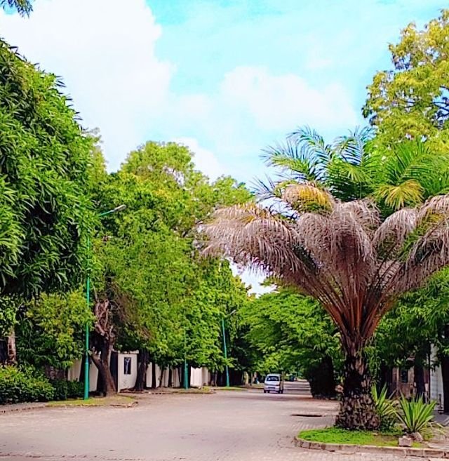 1720117202281.jpg
