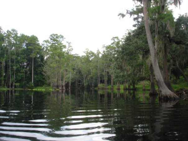 Florida2.jpg