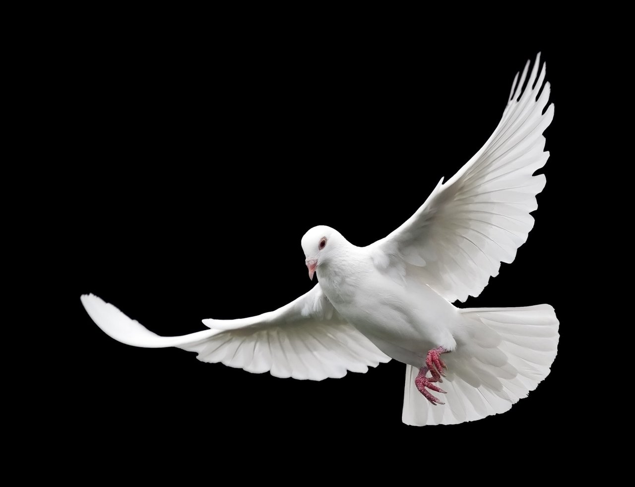 Pixabay3.jpg