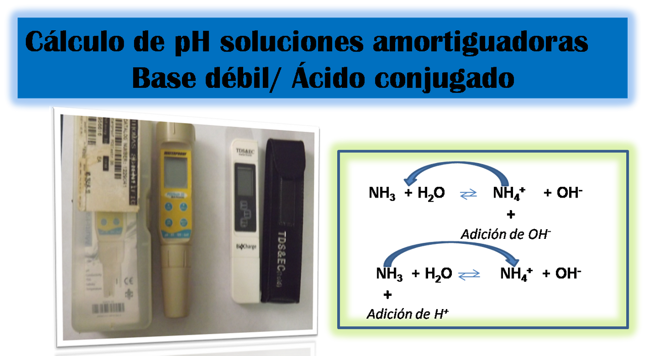 Imagen21.png