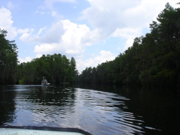 Florida3.jpg