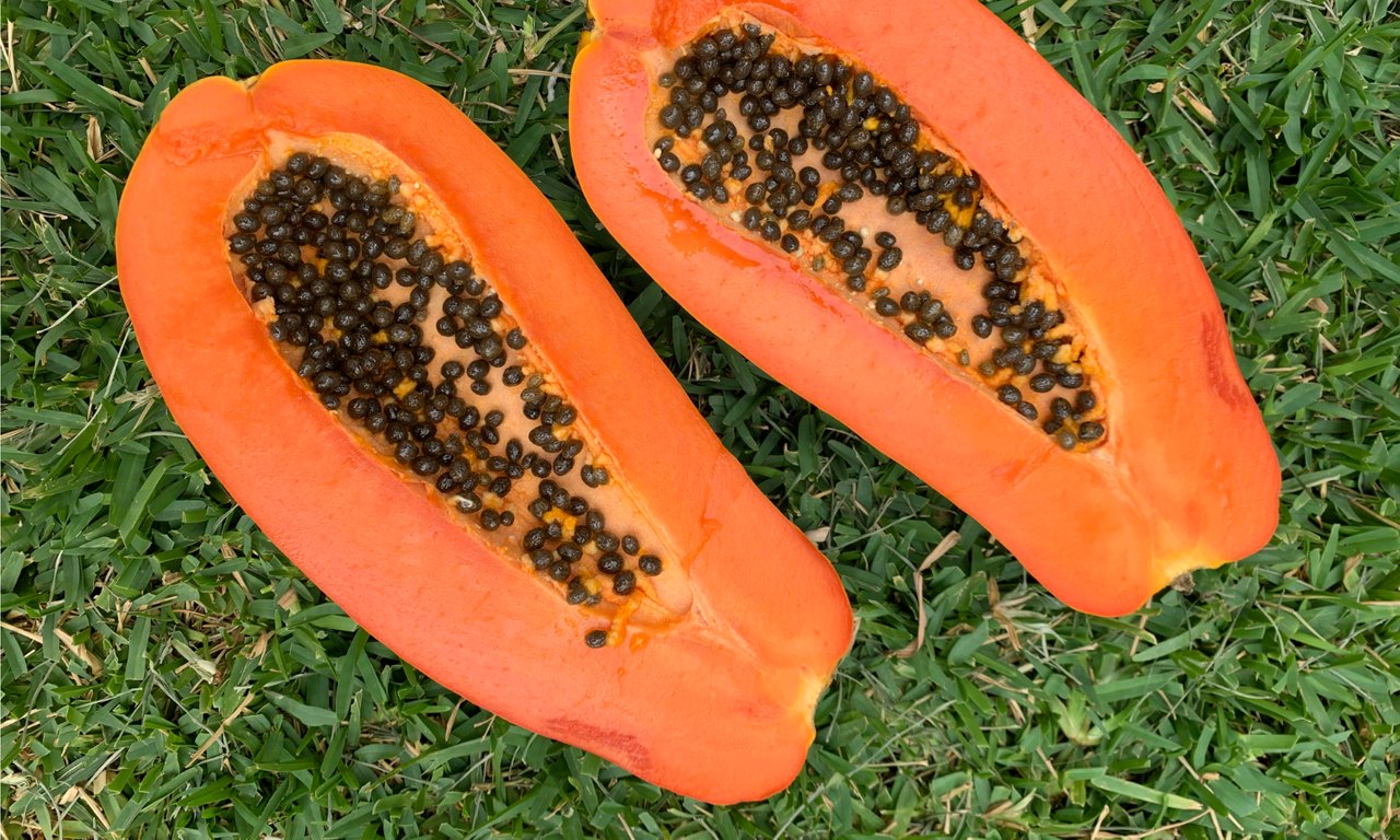 Papaya_Rawexpansion.jpg