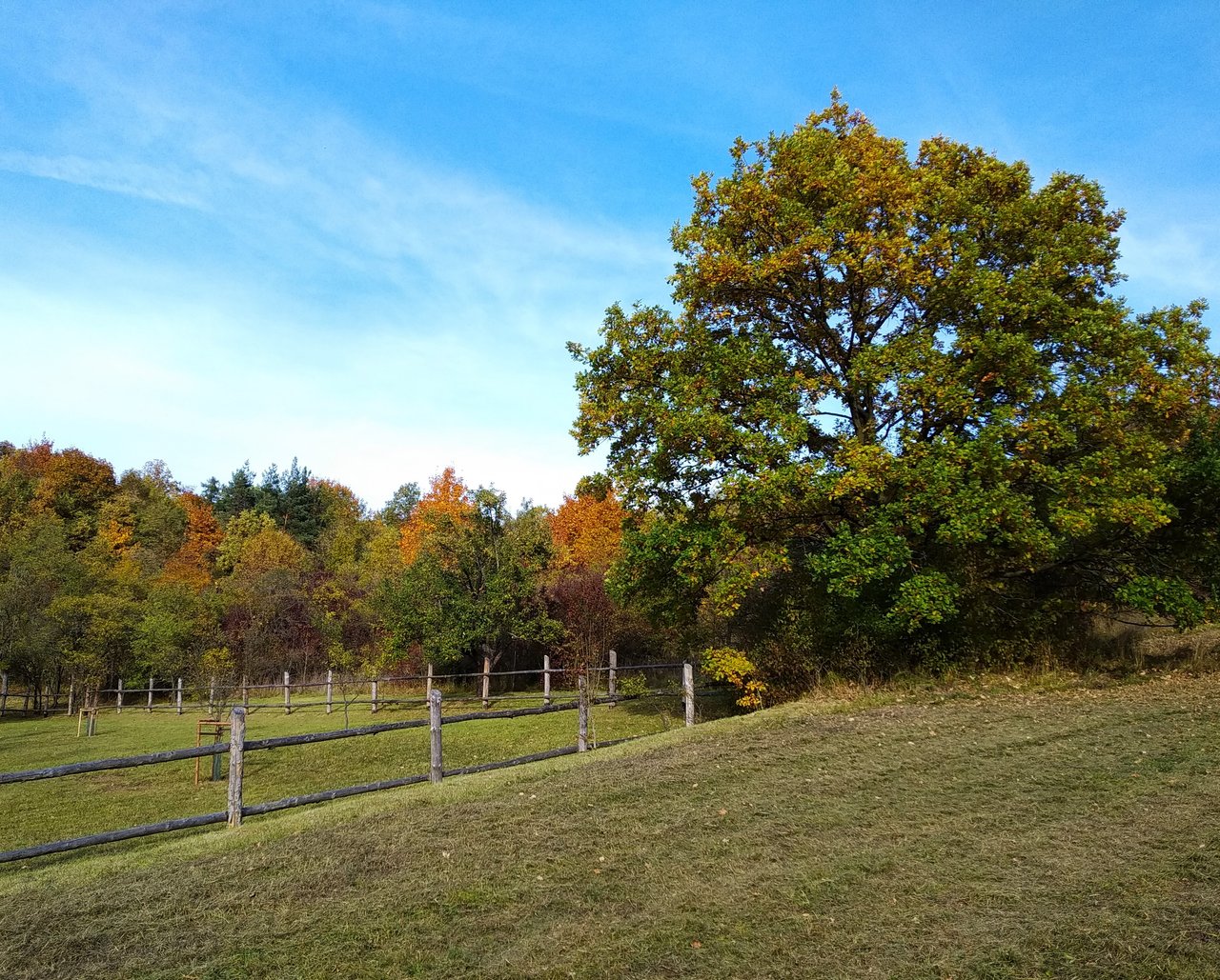 IMG_20231023_153529.jpg