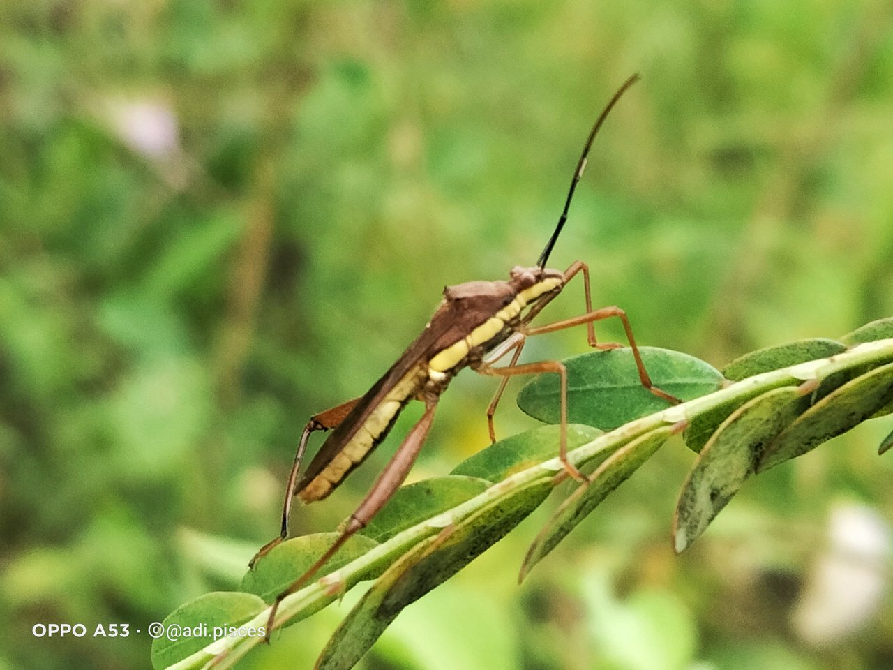 IMG_20220125_093536.jpg