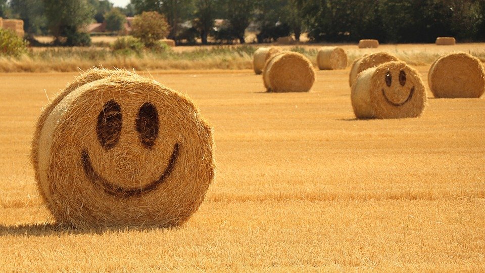 tghfiyugkwediojhpol.jpg