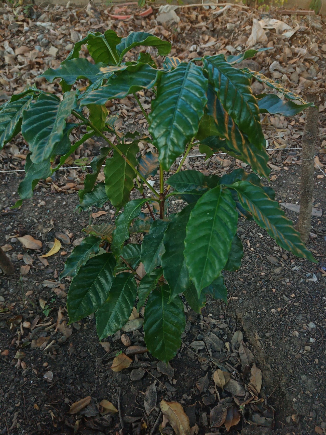 IMG_20220104_173239.jpg