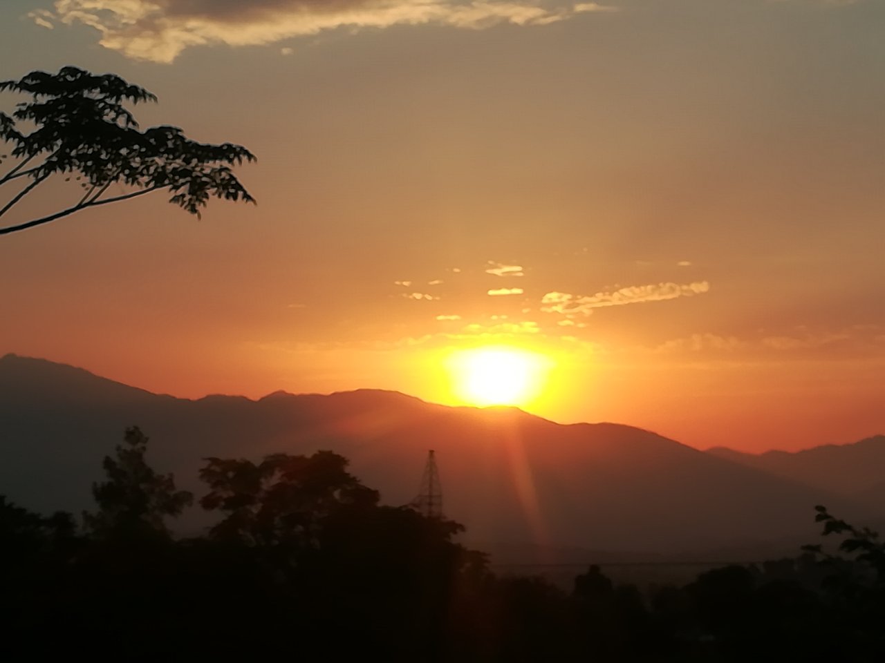 IMG_20200705_190341.jpg