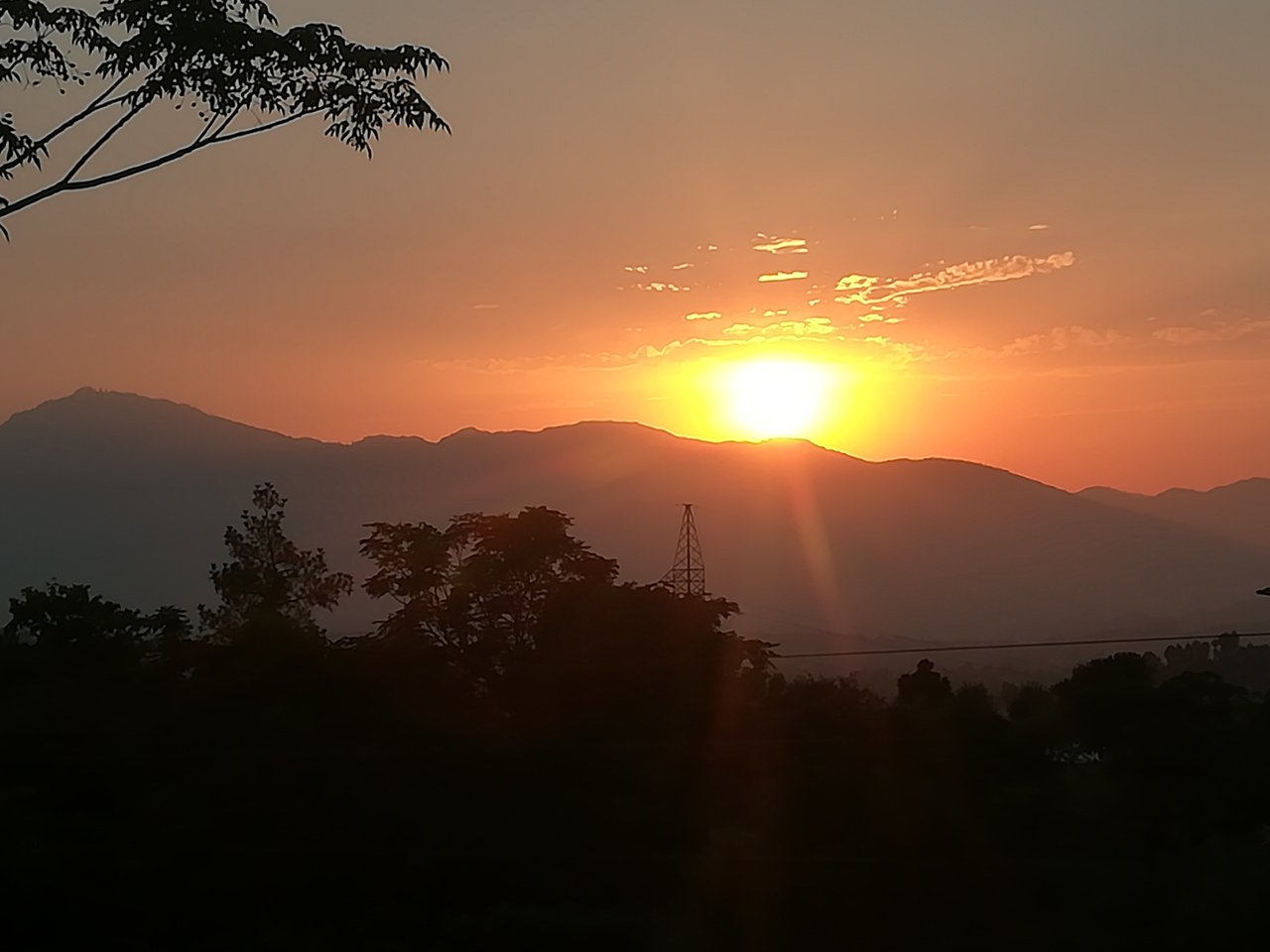 IMG_20200705_190334.jpg