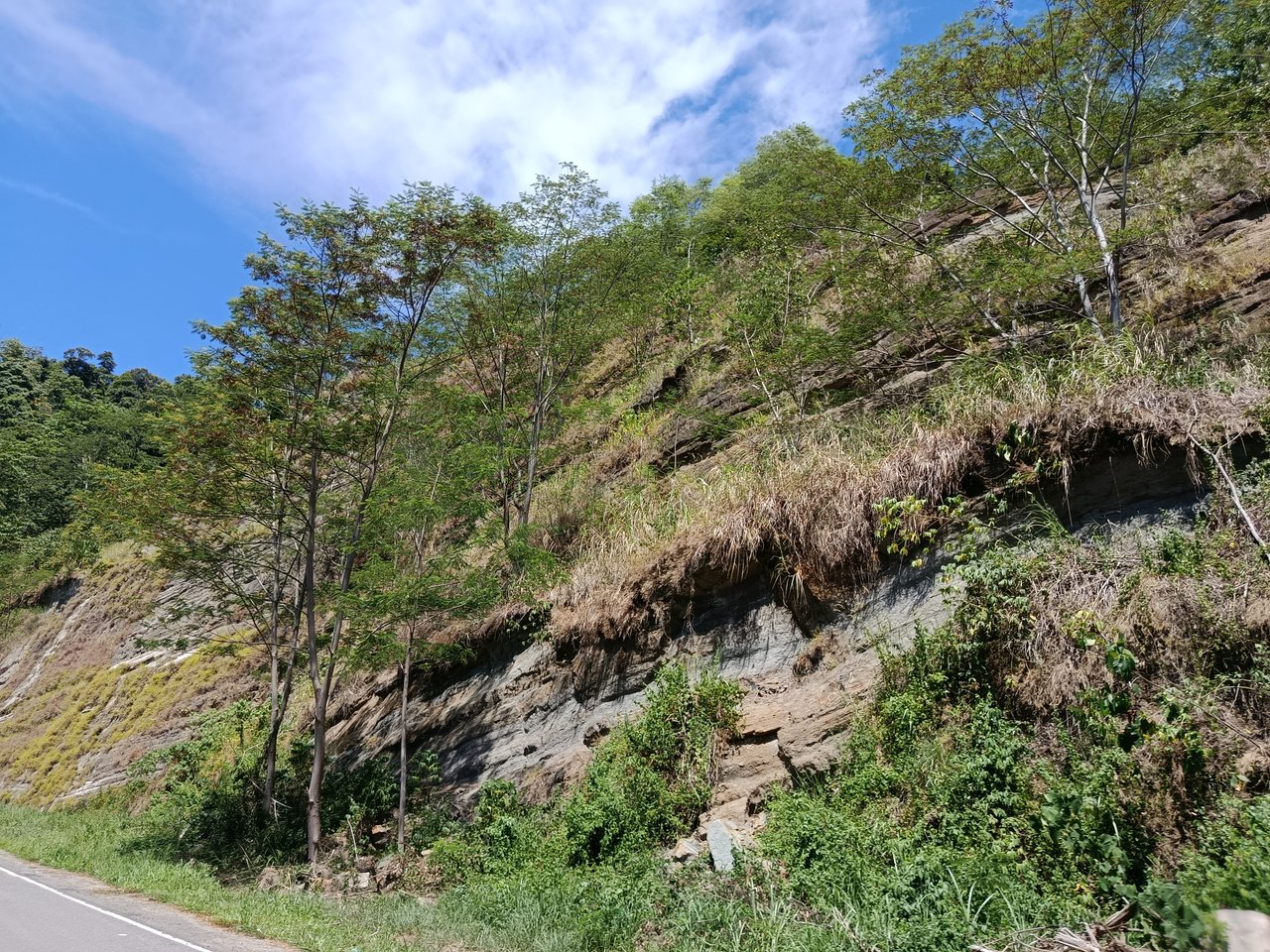 IMG_20250711_114043.jpg