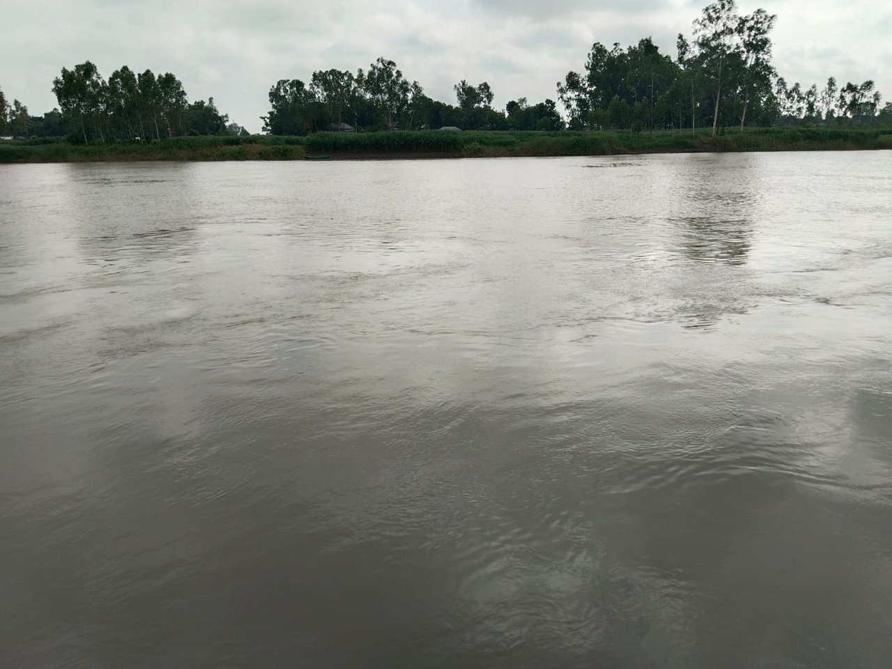 IMG-20250626-WA0007.jpg