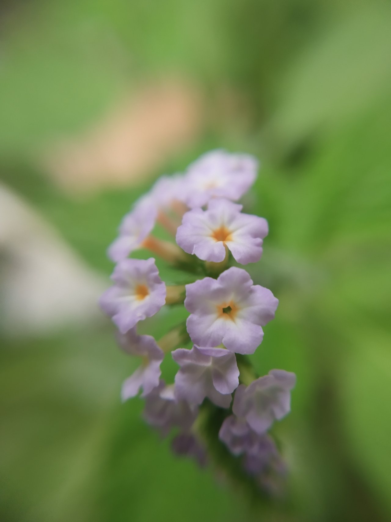 IMG_20220117_161250.jpg