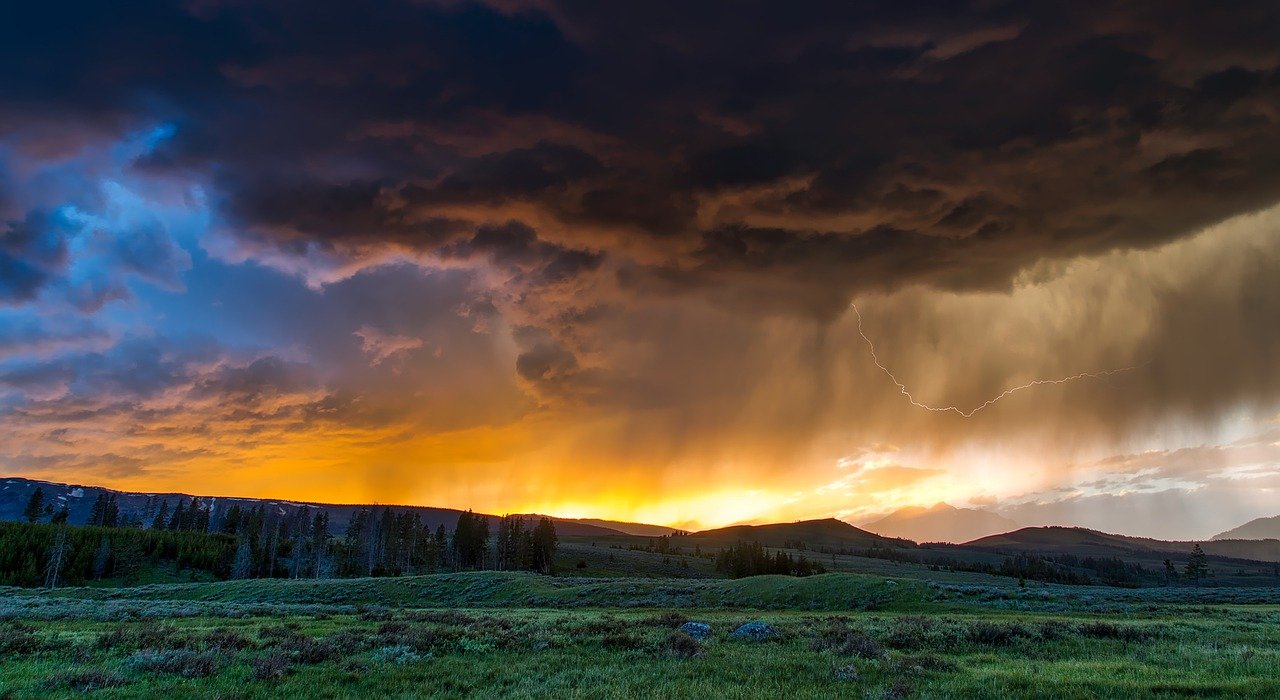 fields-1589613_1280.jpg