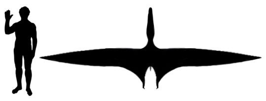 Istiodactylus_size.jpg