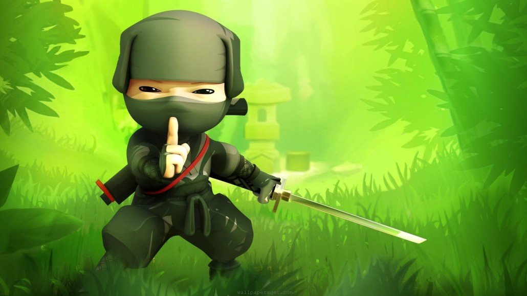 bst_ninja-1030x579.jpg