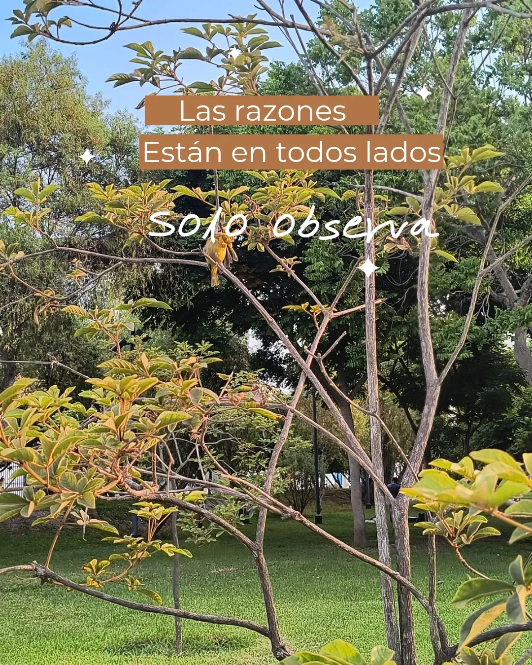 ROuRURnmh5Gvqj5c_1000131624.webp