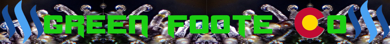 Personal Page divider.png
