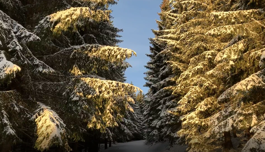 Mt. Śnieżka in Winter. Sudecki Diadem i Korona - dzień 2a: Zimowe wejście na Śnieżkę [ENG / POL]