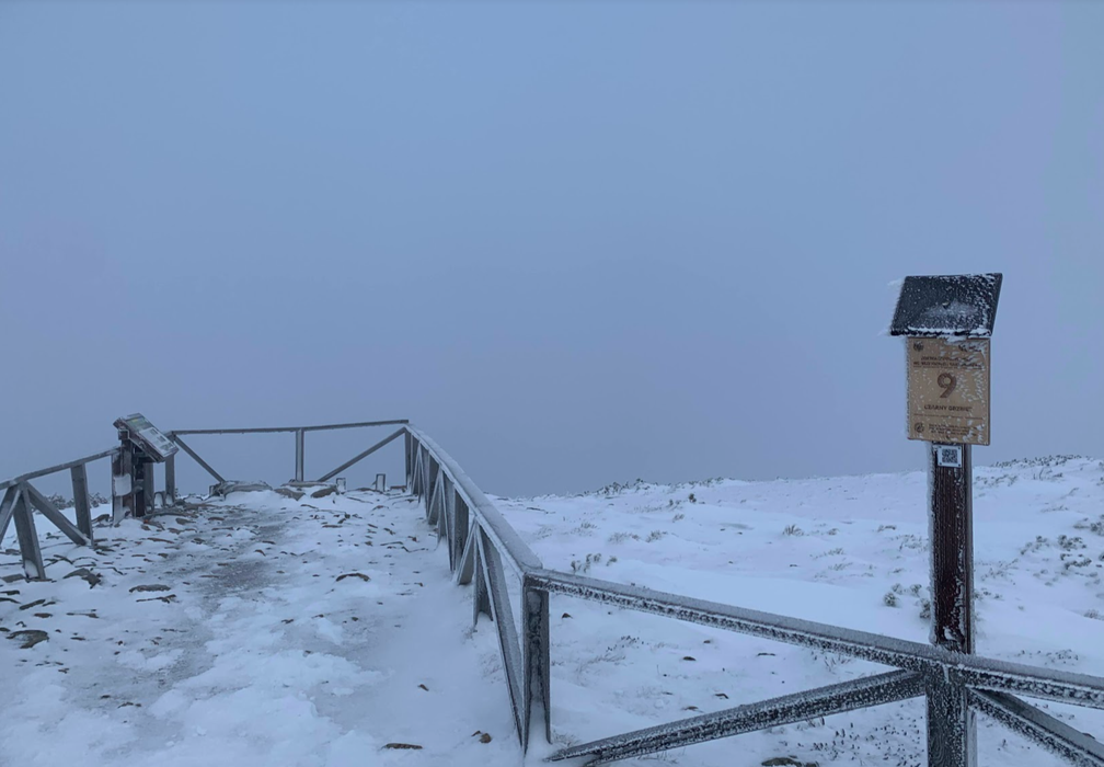 ”View” below Mt Śnieżka summit