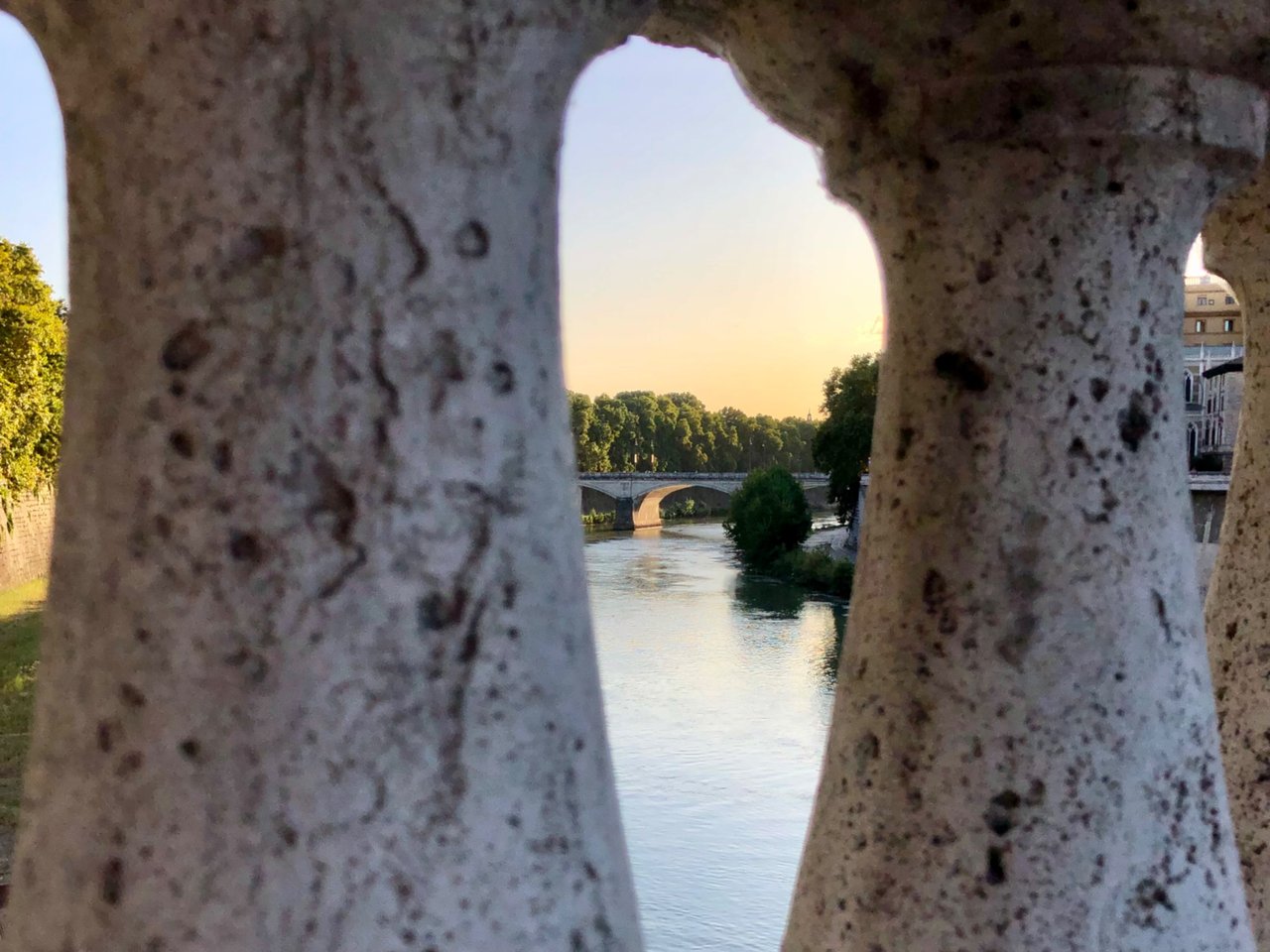 IMG_3054.jpeg
