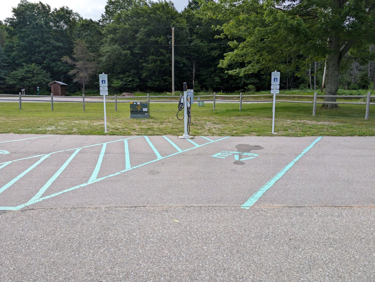 PXL_20250627_124122516.jpg