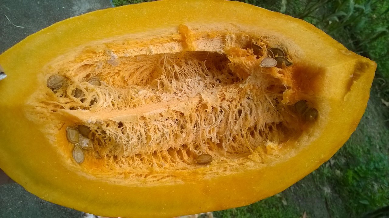 WP_20161016_004.jpg