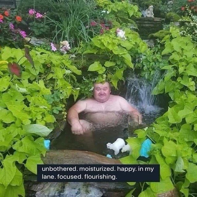 inmylane.jpg