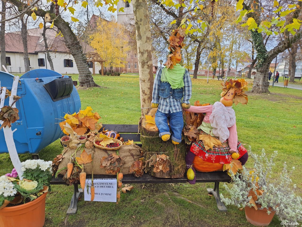 Autumn Colors And Decorations