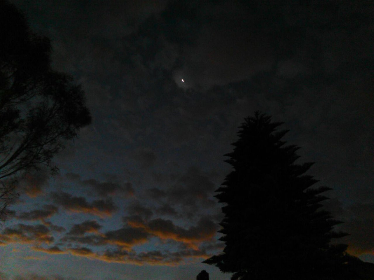 IMG-20160203-WA0014.jpg