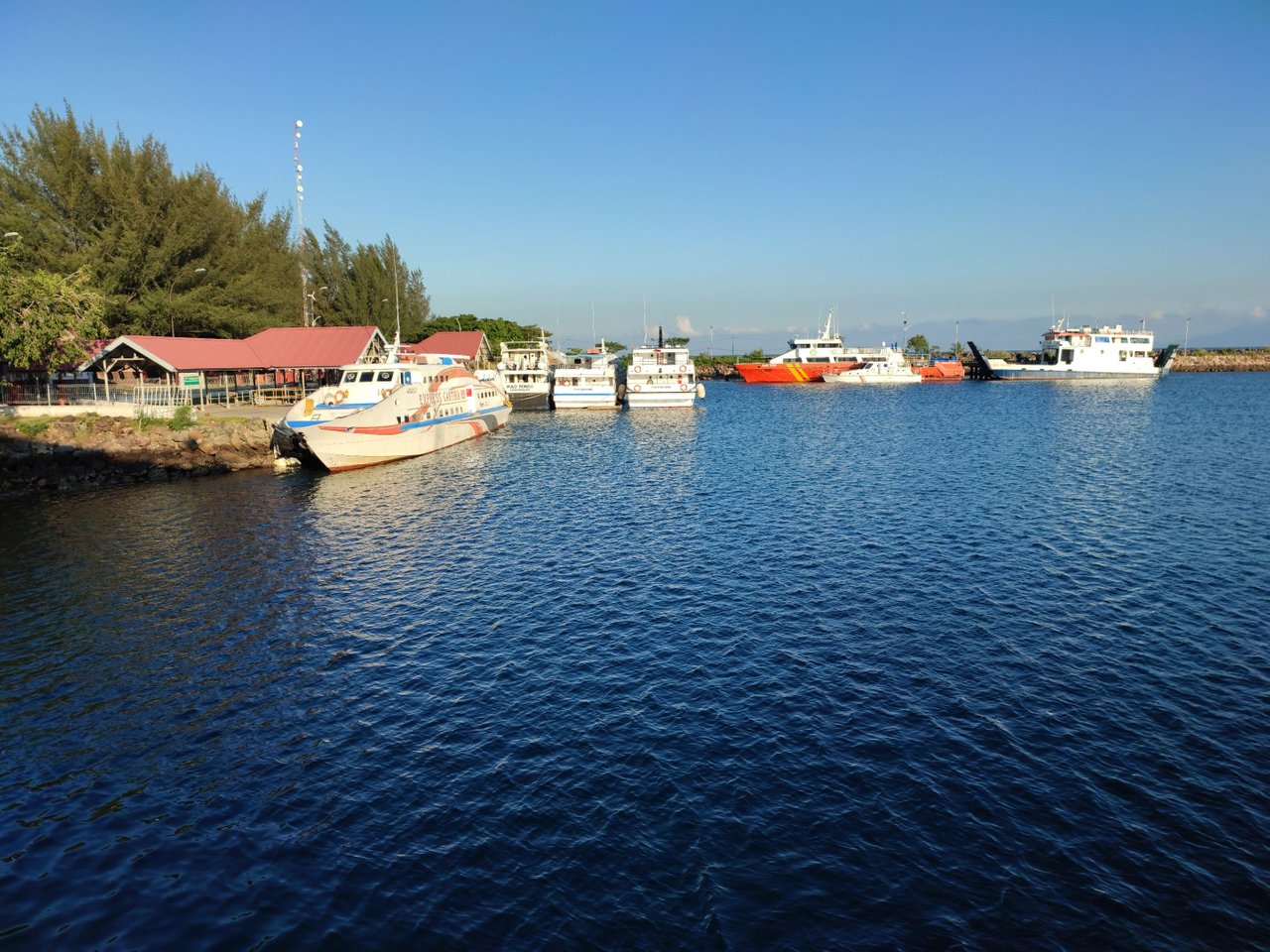 IMG_20211227_074209.jpg