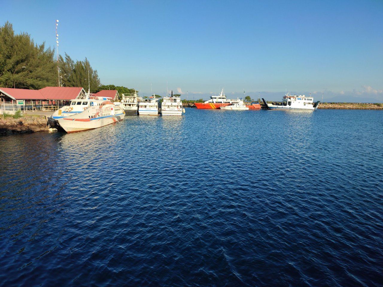 IMG_20211227_074206.jpg