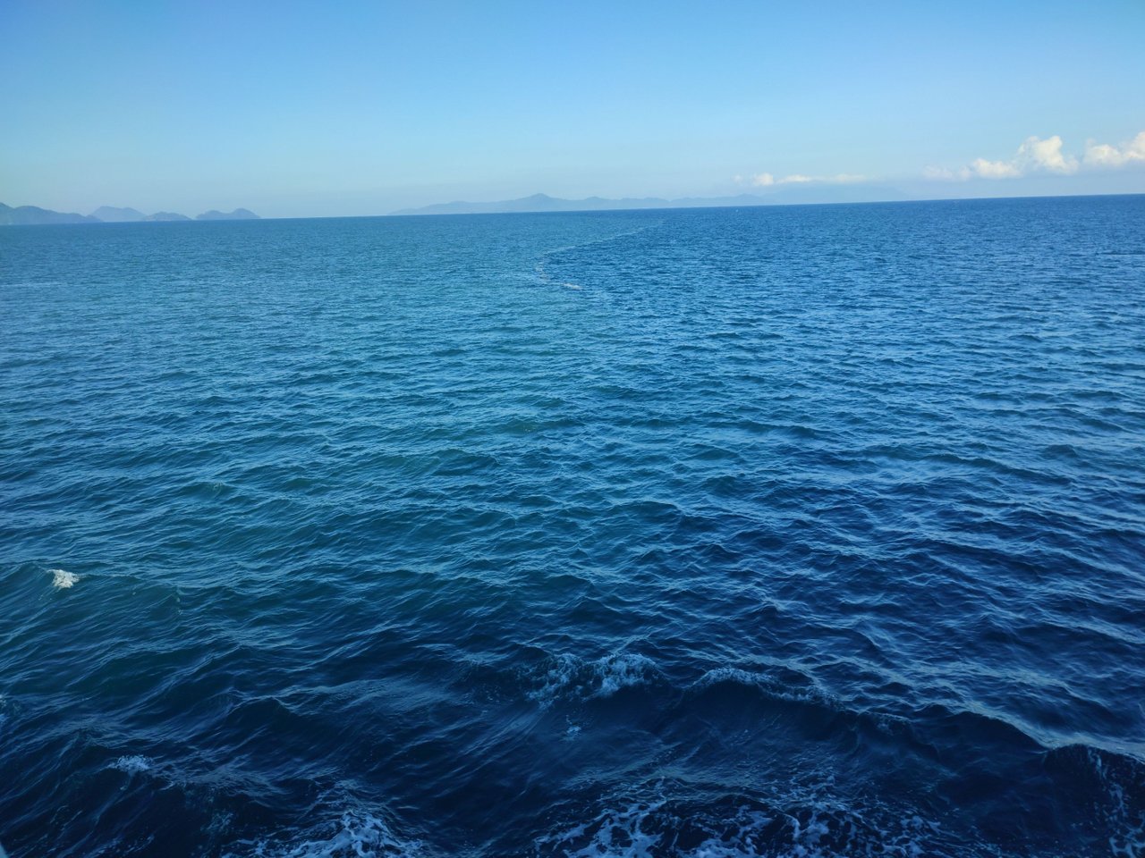 IMG_20211227_083130.jpg